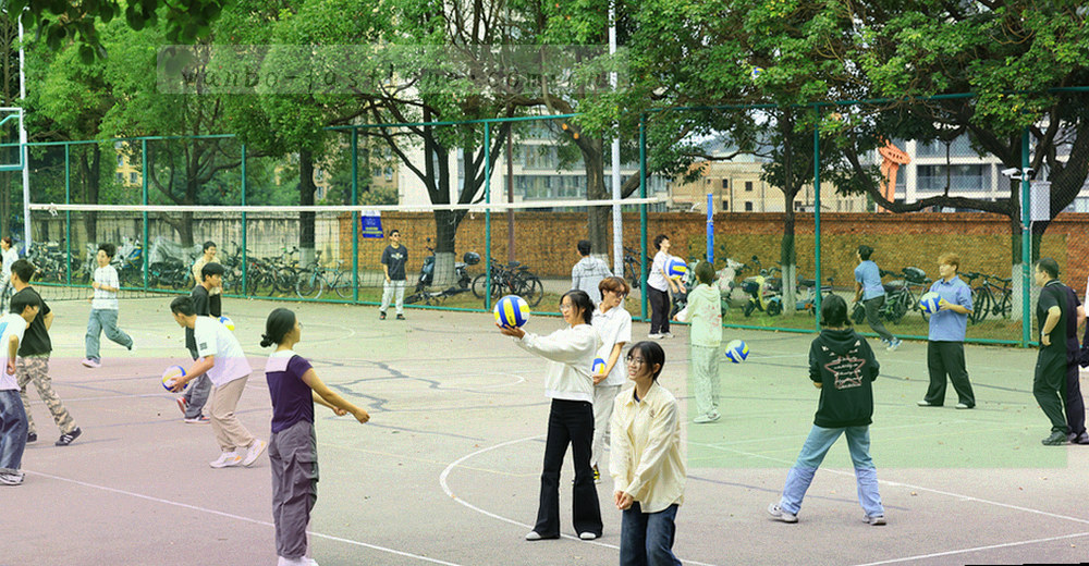 六条横向色带的分类对比图，条带长度表示标签数量差异，色带下方为等宽标签名